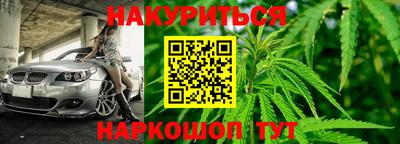 гашик Бузулук