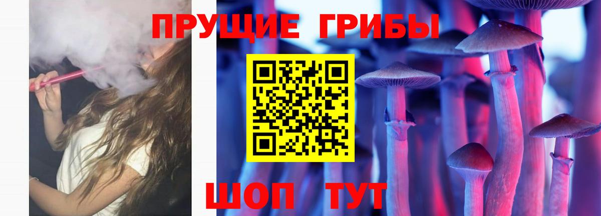 Арсеньев  Псилоцибиновые грибы мухоморы  Вход с VPN 